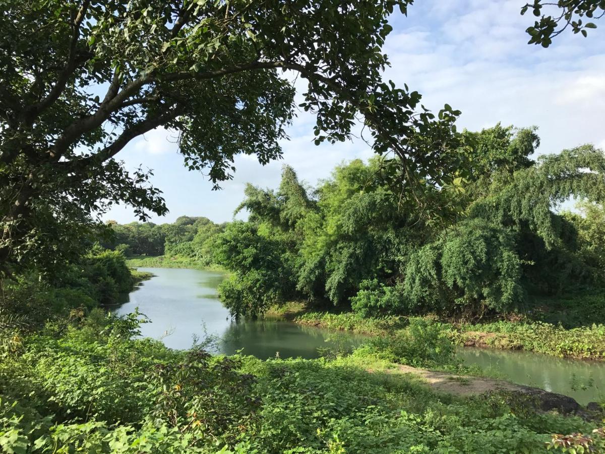 Zohra Baugh, A Green & Organic Farmhouse Stay With All Amenities Dahanu Exteriér fotografie