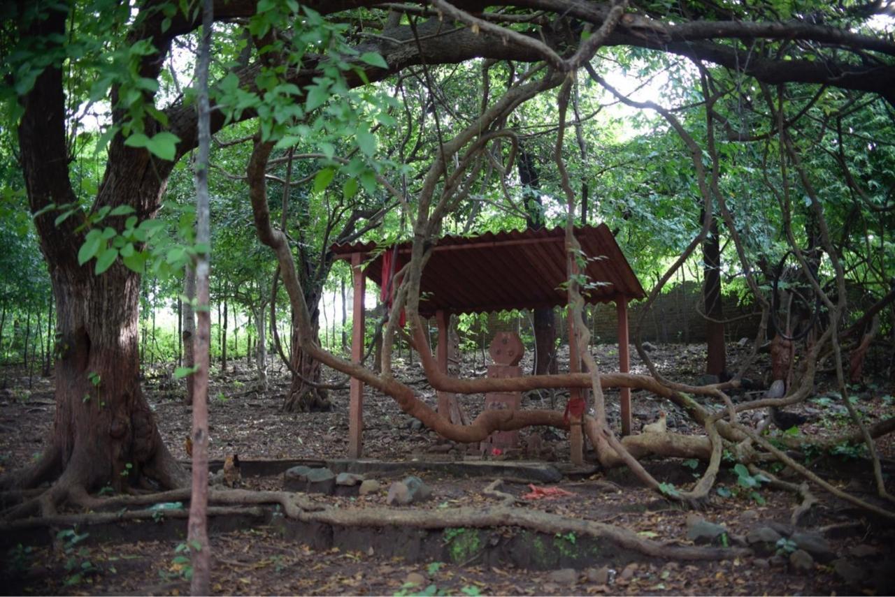 Zohra Baugh, A Green & Organic Farmhouse Stay With All Amenities Dahanu Exteriér fotografie