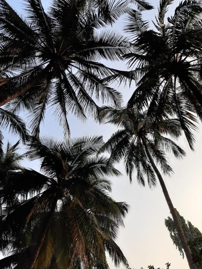 Zohra Baugh, A Green & Organic Farmhouse Stay With All Amenities Dahanu Exteriér fotografie