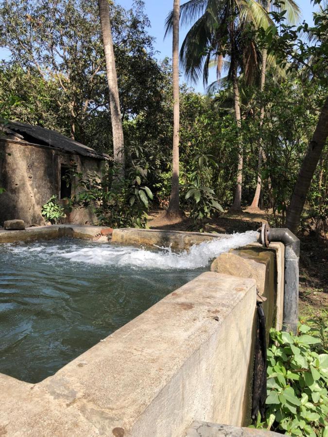 Zohra Baugh, A Green & Organic Farmhouse Stay With All Amenities Dahanu Exteriér fotografie